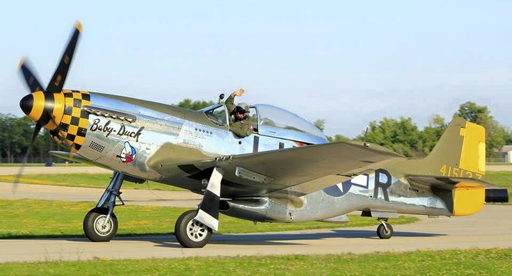 P51babyduck.jpg