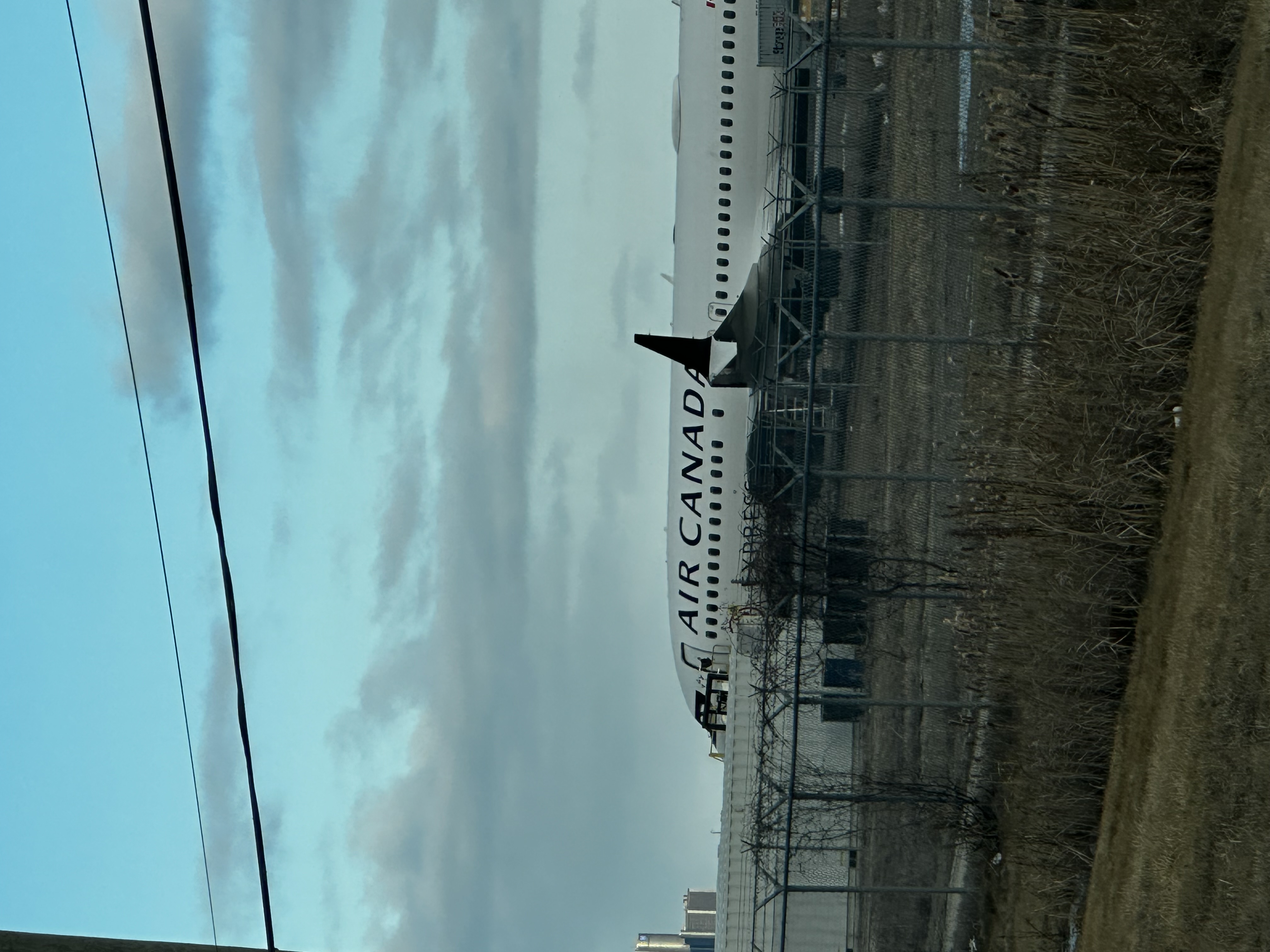 IMG_2724.jpeg