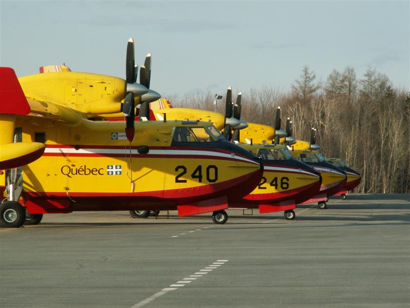 PICT0079 (Medium).JPG