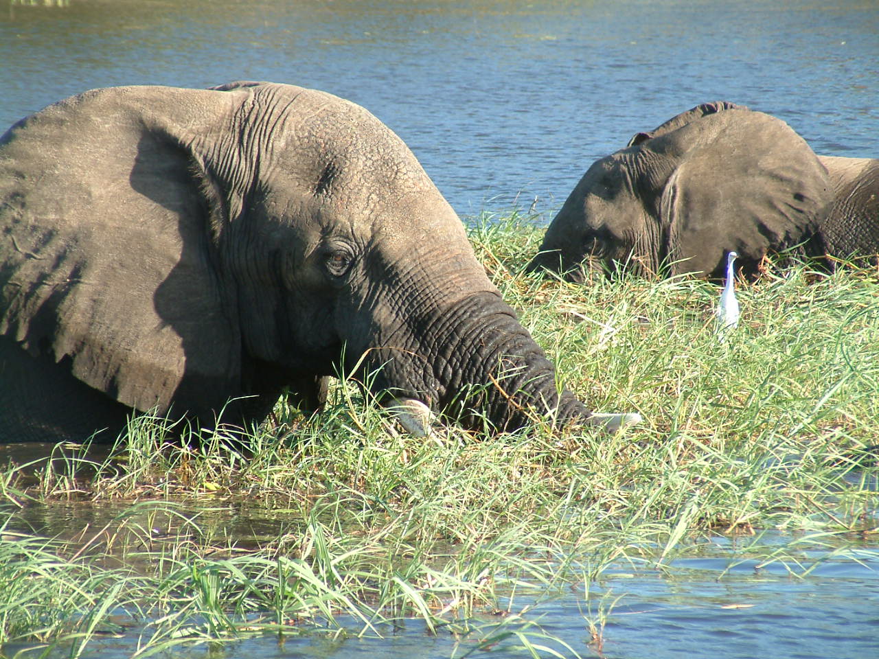 Botswana 047.jpg