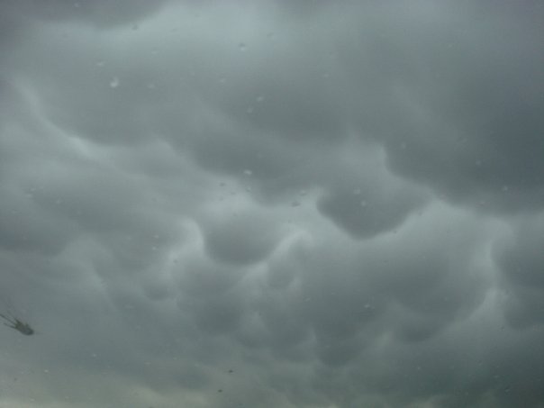 bc mammatus.jpg