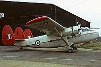 1369194.jpg