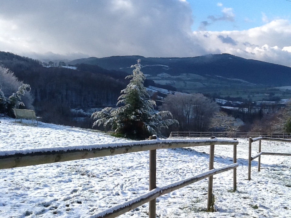 First snowfall at the farm. Photo taken with iPad.