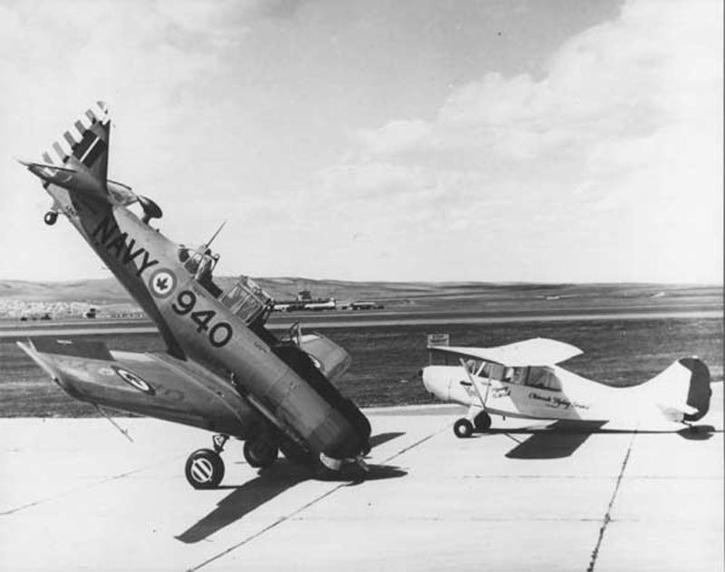 RCN Harvard Nosed Over.jpg