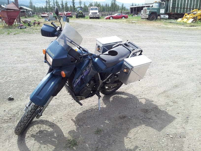 97 KLR 650, 60,000KM on the clock. Purrs like a (big) kitten.