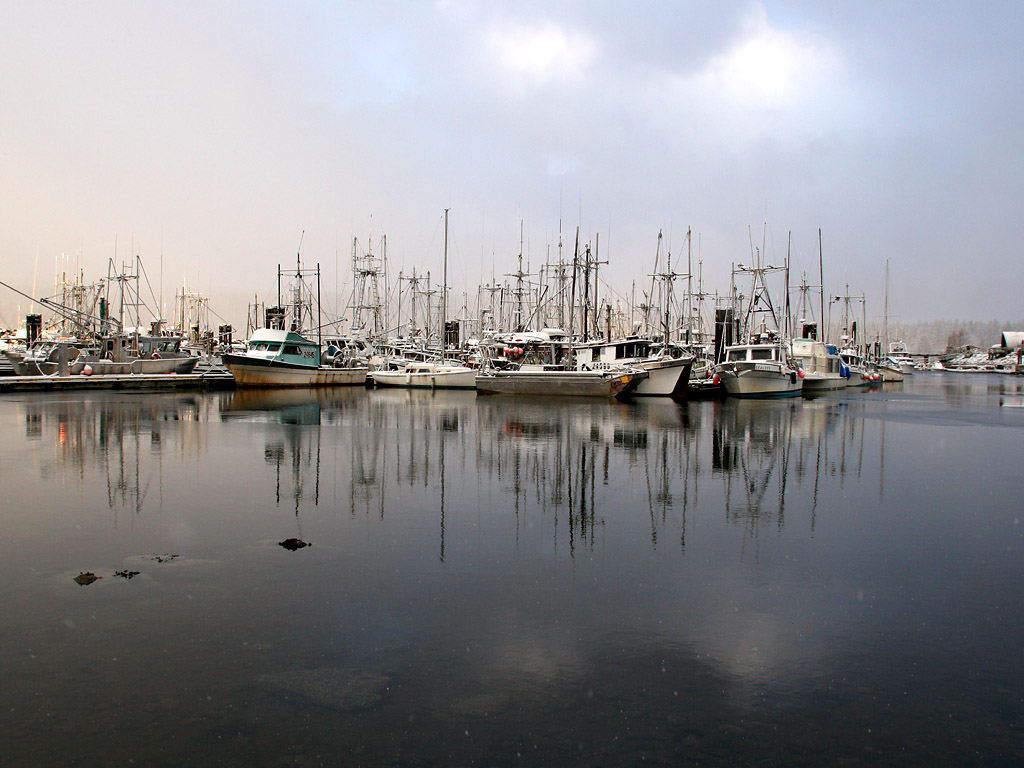 _MG_9856.jpg