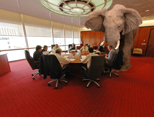 Elephant-in-the-boardroom.jpg